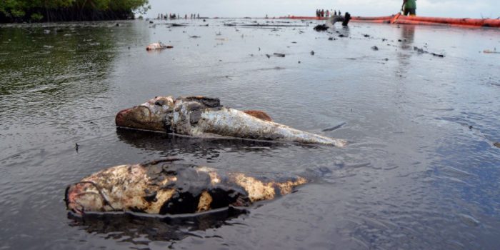 , 201611Niger Delta Oil Spill 2 1024x512 e1479236857768