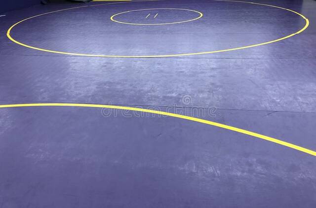 , 202403130443276 web1 dark purple gold yellow wrestling wrestling mat 110004977