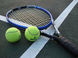 , 202403130493310 web1 tennis