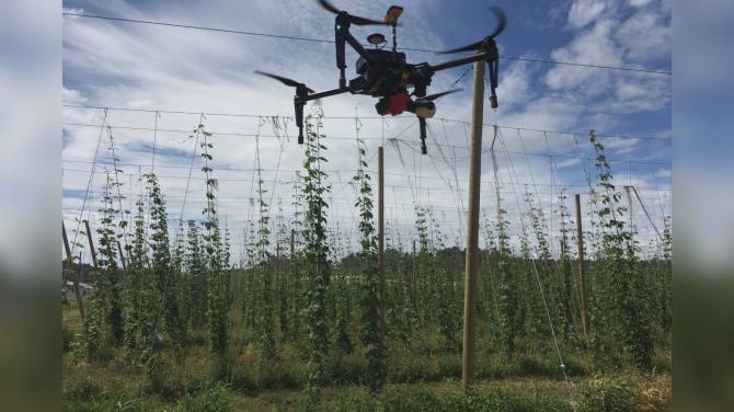 Click to play video: Drones, robots to help improve crop health in Kelowna