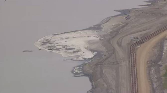Click to play video: Dead wildlife at Alberta tailings pond site raises concern