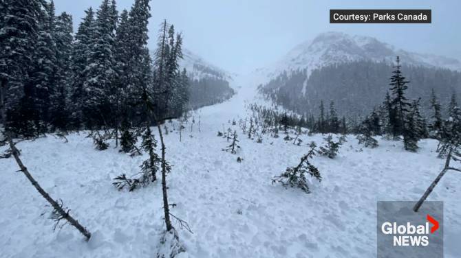 Click to play video: At least 7 incidents of people being caught in avalanches this past week