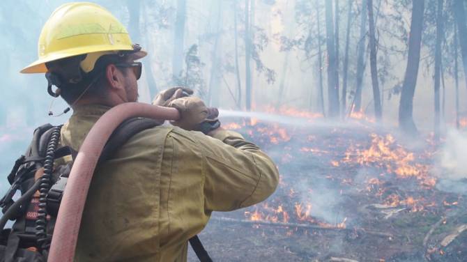 Click to play video: New study criticizes government wildfire information
