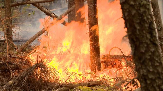 Click to play video: Prince Albert Grand Council preparing for wildfire season