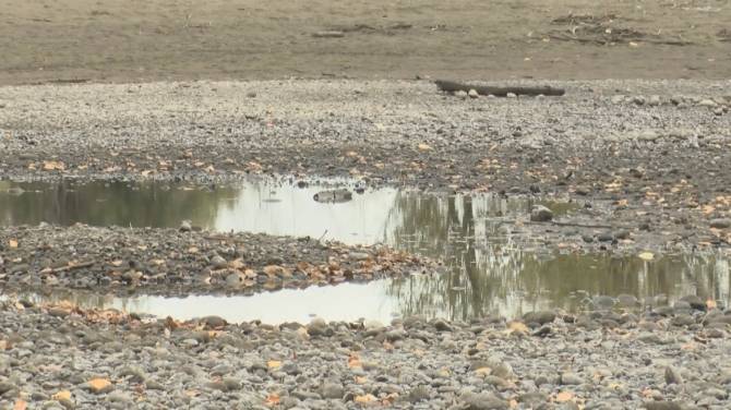 Click to play video: Drought management workshops offered for B.C. farmers