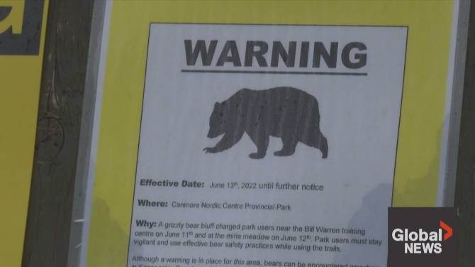 Click to play video: Safety tips as bears begin to wake up from hibernation