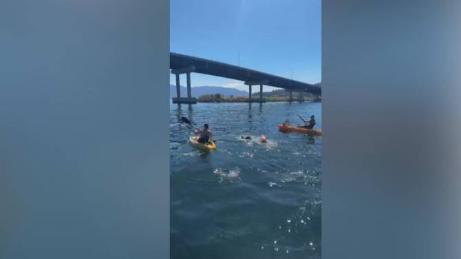 Click to play video: Kelowna man swims entire length of Okanagan Lake in 71 hours