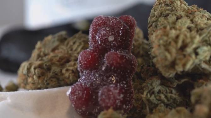 Click to play video: Health Matters: Study finds cannabis poisonings among children have spiked since edibles became legal