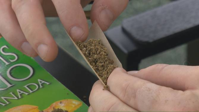 Click to play video: Cannabis use increases anxiety risk, study shows