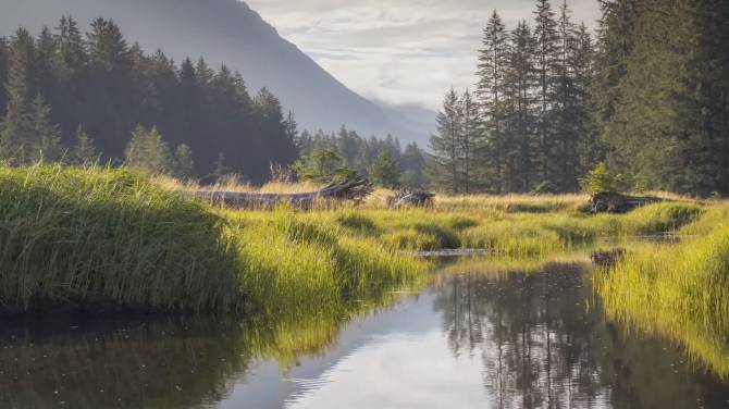 Click to play video: Major project launched to restore and protect Cowichan Bay estuary