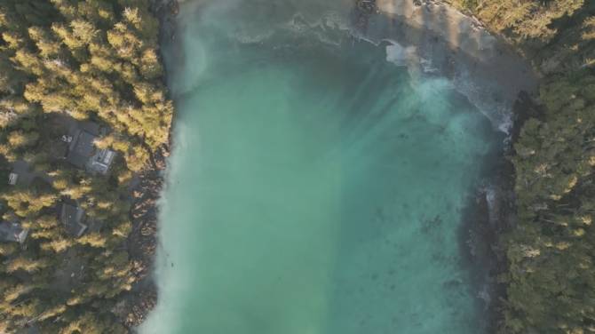 Click to play video: Spawning herring turn water off coast of Vancouver Island turquoise