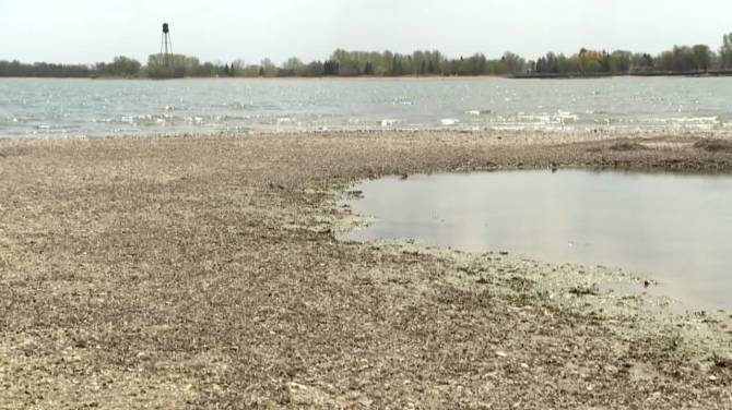 Click to play video: Zebra mussels found in Clear Lake, Man., raising concerns about spread of invasive species