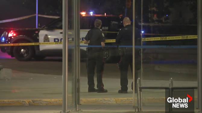 Click to play video: Edmonton police raise alarm about violent calls in short period