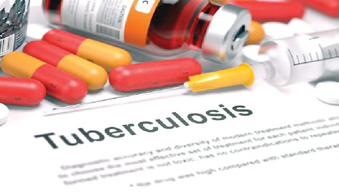 , wp contentuploads20231224002532TUBERCULOSIS