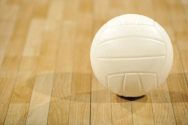 , 202404130507840 web1 volleyball stock dont delete