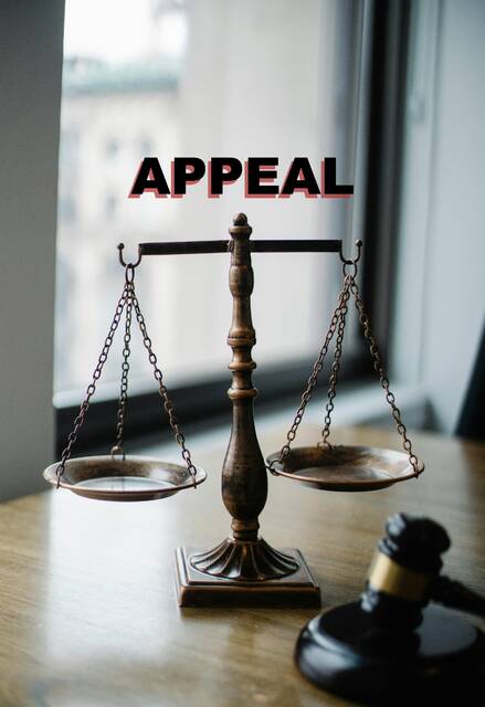 , 202404130547767 web1 Gavel Appeal