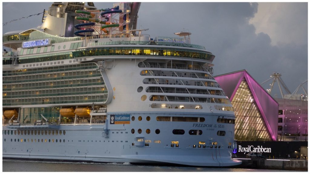 , 202404man jumped off cruise ship