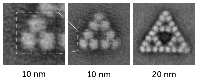 A grayscale microscope image showing a bacterial molecule forming triangles