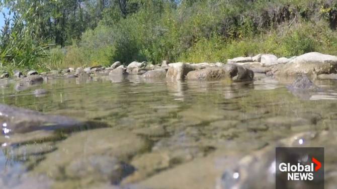 Click to play video: Low water levels impact fisheries, farms and supply across southern Alberta