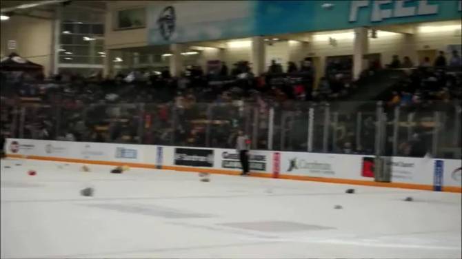 Click to play video: Winnipeg Ice’s Conor Geekie joins Global News Morning
