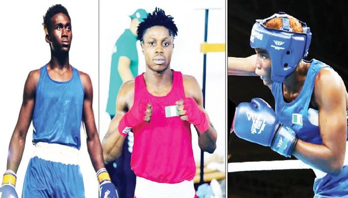 , wp contentuploads20240421004136NIGERIAN BOXERS