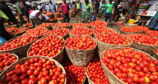 , 201703tomato market 620x330 1