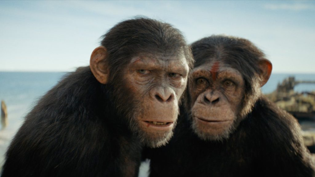 , 202405kingdom of the planet of the apes