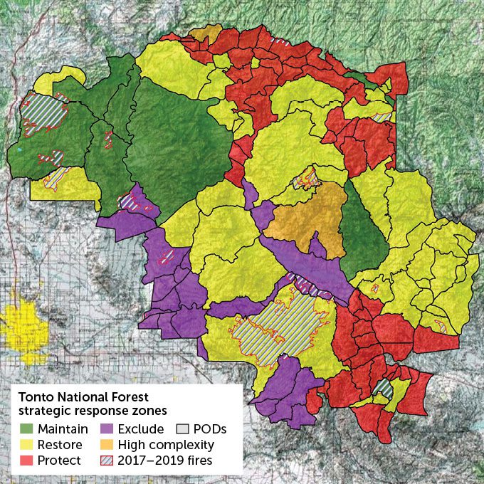 A color-coded map of the POD network in Tonto National Forest