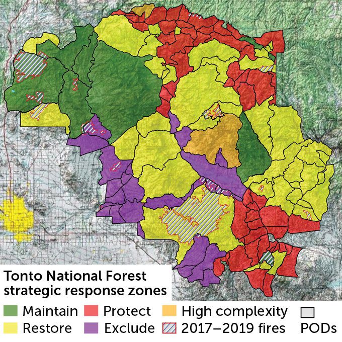 A color-coded map of the POD network in Tonto National Forest